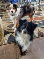 processed/c9527ad8-3d5c-4961-9566-8fea9d64dd55/facility/533bba21-c7e6-435f-b7c0-626cb6848a10