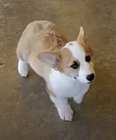 processed/c9527ad8-3d5c-4961-9566-8fea9d64dd55/facility/800201ad-06bc-4898-9922-7825801f2288