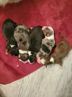 processed/c9527ad8-3d5c-4961-9566-8fea9d64dd55/facility/904d191e-896e-4278-9462-f09ae3141e0d