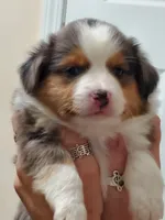 processed/c9527ad8-3d5c-4961-9566-8fea9d64dd55/facility/e9d97415-7ea1-4e95-a159-ac8e04df6c76