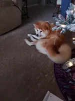 processed/c956620d-a031-4347-ab00-1d1334a4a6db/listing/b0010f64-145c-4fc4-9fce-2ec8c40aa41b/736e8881-4ead-4dfb-be82-0fefd4bf74b5