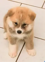 processed/c956620d-a031-4347-ab00-1d1334a4a6db/listing/b0010f64-145c-4fc4-9fce-2ec8c40aa41b/dbbde545-909c-47e6-8b6b-7ca03f6f27bd