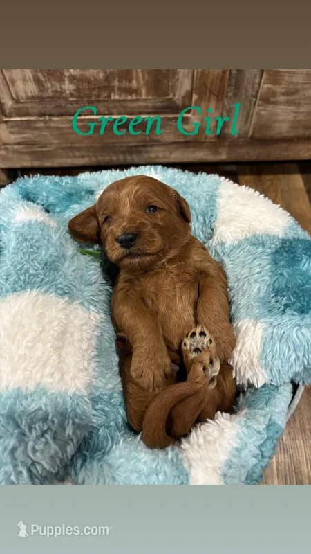 Green girl 