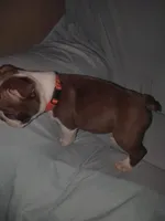 processed/c9672bee-1323-4341-b598-13e7d68c7629/listing/3a175a69-2c08-4be3-bb3d-f58b25801e49/8579201c-eb83-46b9-9ac2-3da3f75db13f