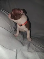 processed/c9672bee-1323-4341-b598-13e7d68c7629/listing/3a175a69-2c08-4be3-bb3d-f58b25801e49/b0ba1391-c133-4a7c-93e3-c30e11c231e4