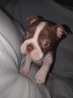 processed/c9672bee-1323-4341-b598-13e7d68c7629/listing/3a175a69-2c08-4be3-bb3d-f58b25801e49/f288d012-f587-4543-9b2f-c5d9e6144437