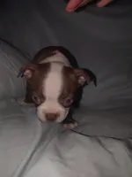 processed/c9672bee-1323-4341-b598-13e7d68c7629/listing/9dc7b7c1-3040-4cdd-90d2-379dcb7895a5/067d7e12-f483-462e-a134-b93d84d38754