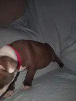 processed/c9672bee-1323-4341-b598-13e7d68c7629/listing/9dc7b7c1-3040-4cdd-90d2-379dcb7895a5/218271c1-bccc-4f1a-991c-cf508f3078a4