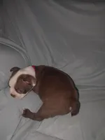 processed/c9672bee-1323-4341-b598-13e7d68c7629/listing/9dc7b7c1-3040-4cdd-90d2-379dcb7895a5/23366ee2-833e-4626-b692-11b39a6a676d