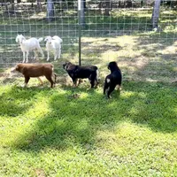 processed/c968ff7e-7668-4e47-9ed8-156c33091eca/facility/17831381-3df2-4449-b21d-cc5c7dd89647