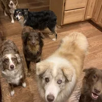 processed/c968ff7e-7668-4e47-9ed8-156c33091eca/facility/21cbfbdd-db73-46fa-9419-e462663f6ea0