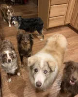 processed/c968ff7e-7668-4e47-9ed8-156c33091eca/facility/21cbfbdd-db73-46fa-9419-e462663f6ea0