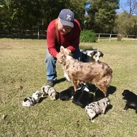 processed/c968ff7e-7668-4e47-9ed8-156c33091eca/facility/281b65a4-cc04-40da-aeb3-f07ecfd7d61a