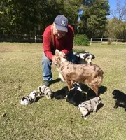 processed/c968ff7e-7668-4e47-9ed8-156c33091eca/facility/281b65a4-cc04-40da-aeb3-f07ecfd7d61a