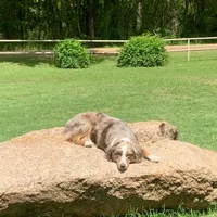 processed/c968ff7e-7668-4e47-9ed8-156c33091eca/facility/71881951-34ce-4a9c-be55-d1cb3e0d5cd6