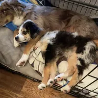 processed/c968ff7e-7668-4e47-9ed8-156c33091eca/facility/810ed958-dba8-4bf8-a008-705e7c12bd5a