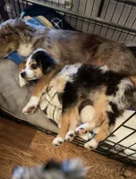 processed/c968ff7e-7668-4e47-9ed8-156c33091eca/facility/810ed958-dba8-4bf8-a008-705e7c12bd5a