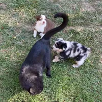 processed/c968ff7e-7668-4e47-9ed8-156c33091eca/facility/e4010519-8e19-4073-ad0b-8c38df84d4e8