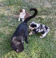 processed/c968ff7e-7668-4e47-9ed8-156c33091eca/facility/e4010519-8e19-4073-ad0b-8c38df84d4e8