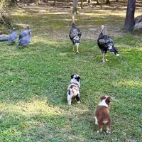 processed/c968ff7e-7668-4e47-9ed8-156c33091eca/facility/f18e4142-5ff7-4eb3-9d50-dd4116b7de0f