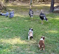 processed/c968ff7e-7668-4e47-9ed8-156c33091eca/facility/f18e4142-5ff7-4eb3-9d50-dd4116b7de0f