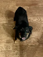 processed/c968ff7e-7668-4e47-9ed8-156c33091eca/listing/17511ddb-ba44-4bf7-8e50-fbc2be143b6f/cfd69083-9501-4549-875f-37dae1fdf325