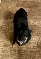 processed/c968ff7e-7668-4e47-9ed8-156c33091eca/listing/17511ddb-ba44-4bf7-8e50-fbc2be143b6f/d3fb82e1-34ee-4f08-aab1-1bf52b958a5e