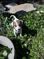 processed/c9694143-bc58-44df-82de-352b63d288d0/listing/bb250daa-7cd3-4887-8d9a-611789dccc08/664d1607-02a4-4f31-afd7-bb3315b0ab22