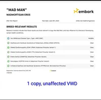 🥰Well bred AKC baby boy, a male Doberman Pinscher for sale in Ontario, OH – Photo 5 of 10