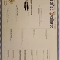 AVAILABLE 💙Baby boy Blue , a male Doberman Pinscher for sale in Ontario, OH – Photo 10 of 10