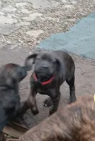 processed/c96c033d-b8de-4615-8aa7-5d6ee73001dc/listing/9eb1fa7a-7ed6-45e6-93bb-9c6860f8d864/13ab16c9-534f-49ed-9ebf-e59108c331ee