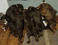 processed/c96c033d-b8de-4615-8aa7-5d6ee73001dc/listing/9eb1fa7a-7ed6-45e6-93bb-9c6860f8d864/4cb6d59d-b258-4b2d-9aa2-d0a4ea778c5a