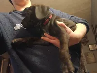 processed/c96c033d-b8de-4615-8aa7-5d6ee73001dc/listing/9eb1fa7a-7ed6-45e6-93bb-9c6860f8d864/5a812887-b15e-42f2-becf-489ab9fc3b5e