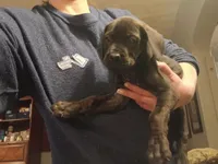 processed/c96c033d-b8de-4615-8aa7-5d6ee73001dc/listing/9eb1fa7a-7ed6-45e6-93bb-9c6860f8d864/a09a3f57-b626-44dc-8b70-ea3e2125ceb9