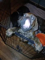 processed/c96c033d-b8de-4615-8aa7-5d6ee73001dc/listing/e995db2c-f54e-44f4-bbc8-b1f988b5b5ba/176f7d58-9fe4-41f6-9af4-ea1f5823da9c