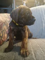 processed/c96c033d-b8de-4615-8aa7-5d6ee73001dc/listing/e995db2c-f54e-44f4-bbc8-b1f988b5b5ba/52593f18-a8ad-42a3-9cd3-b8a8b3ca1ebd