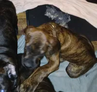 processed/c96c033d-b8de-4615-8aa7-5d6ee73001dc/listing/e995db2c-f54e-44f4-bbc8-b1f988b5b5ba/d7909670-46a0-4140-bd74-da0bc32a79ea