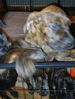 processed/c96c033d-b8de-4615-8aa7-5d6ee73001dc/listing/e995db2c-f54e-44f4-bbc8-b1f988b5b5ba/dc822d6c-3e34-4cf9-93da-093d7637f728