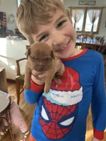 processed/c96f5004-9b1a-412c-bbc1-97ca5b689c8d/listing/02ff5544-49d6-4b11-976d-27fe215ce887/20c7ab8b-3a5d-4bd0-b807-18168ea4e11b