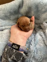 processed/c96f5004-9b1a-412c-bbc1-97ca5b689c8d/listing/02ff5544-49d6-4b11-976d-27fe215ce887/61f9d31b-7bca-4ab9-9b9a-e3e75be48503