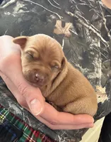 processed/c96f5004-9b1a-412c-bbc1-97ca5b689c8d/listing/02ff5544-49d6-4b11-976d-27fe215ce887/6fc8dc78-7c0a-4fb7-af7e-b3a6c0023887