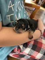 processed/c96f5004-9b1a-412c-bbc1-97ca5b689c8d/listing/d8ba4121-298c-4242-9dc9-9b26cbe44bb3/1fc04c03-9000-425e-9657-e3d4f449986d