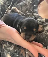 processed/c96f5004-9b1a-412c-bbc1-97ca5b689c8d/listing/d8ba4121-298c-4242-9dc9-9b26cbe44bb3/2cd7dc28-52b4-4e96-a129-7b83eeae9146