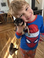 processed/c96f5004-9b1a-412c-bbc1-97ca5b689c8d/listing/d8ba4121-298c-4242-9dc9-9b26cbe44bb3/63356571-c907-4a8b-ad1f-f73cab17a4c0