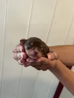 processed/c96f5004-9b1a-412c-bbc1-97ca5b689c8d/listing/fbd00bfb-8d13-4c8b-a8c3-425a44674709/21fde4c1-cdc0-426c-9e8d-7f078a021a1c