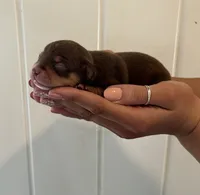 processed/c96f5004-9b1a-412c-bbc1-97ca5b689c8d/listing/fbd00bfb-8d13-4c8b-a8c3-425a44674709/c5e4615e-a42c-4a47-9d68-e8754fbe6beb