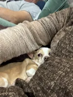 processed/c96f5004-9b1a-412c-bbc1-97ca5b689c8d/listing/fbd00bfb-8d13-4c8b-a8c3-425a44674709/eacd6570-d6f9-4781-8a57-cc0d1700e17e