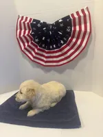 Purple, a female Golden Retriever for sale in Wiley, CO – 6 of 7