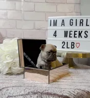 processed/c9756e70-efdf-42cf-84f1-e480dcc6a0fb/listing/21ede99b-2de6-4ca8-af5b-ab3ccb7fede7/1f855a67-42f2-417a-b6c9-27bf1dd231a5