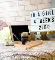 processed/c9756e70-efdf-42cf-84f1-e480dcc6a0fb/listing/21ede99b-2de6-4ca8-af5b-ab3ccb7fede7/d26af9b5-e202-4f48-85c5-0e43b90af10f